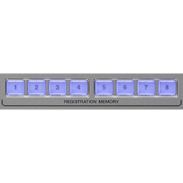 LUCKY LIPS REGISTRATION MEMORY BANK Tyros 5 LUCKY LIPS REGISTRATION MEMORY BANK Tyros 5